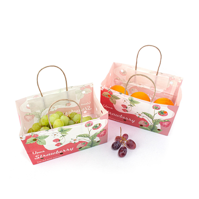Handle Kraft Fruit Paper Bags Compostable For Fruit Packaging Takeaway