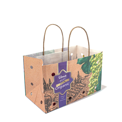 Sustainable Kraft Paper Bags With Twisted Handles For Grape Fruit