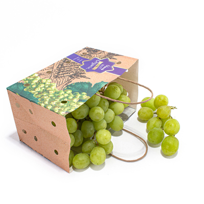 OEM Printing Fruit Paper Bags Wet Strength Kraft Paper Uncoated Lining