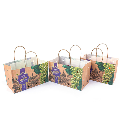 OEM Printing Fruit Paper Bags Wet Strength Kraft Paper Uncoated Lining